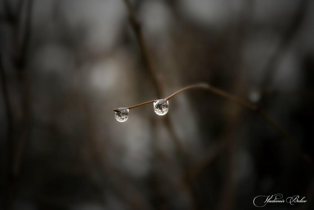 ph: Владимир Бондаренко