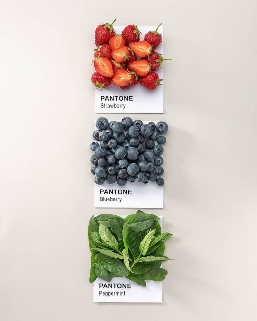 фотограф: Василиса Романова