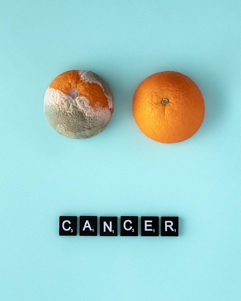 фотограф: Василиса Романова