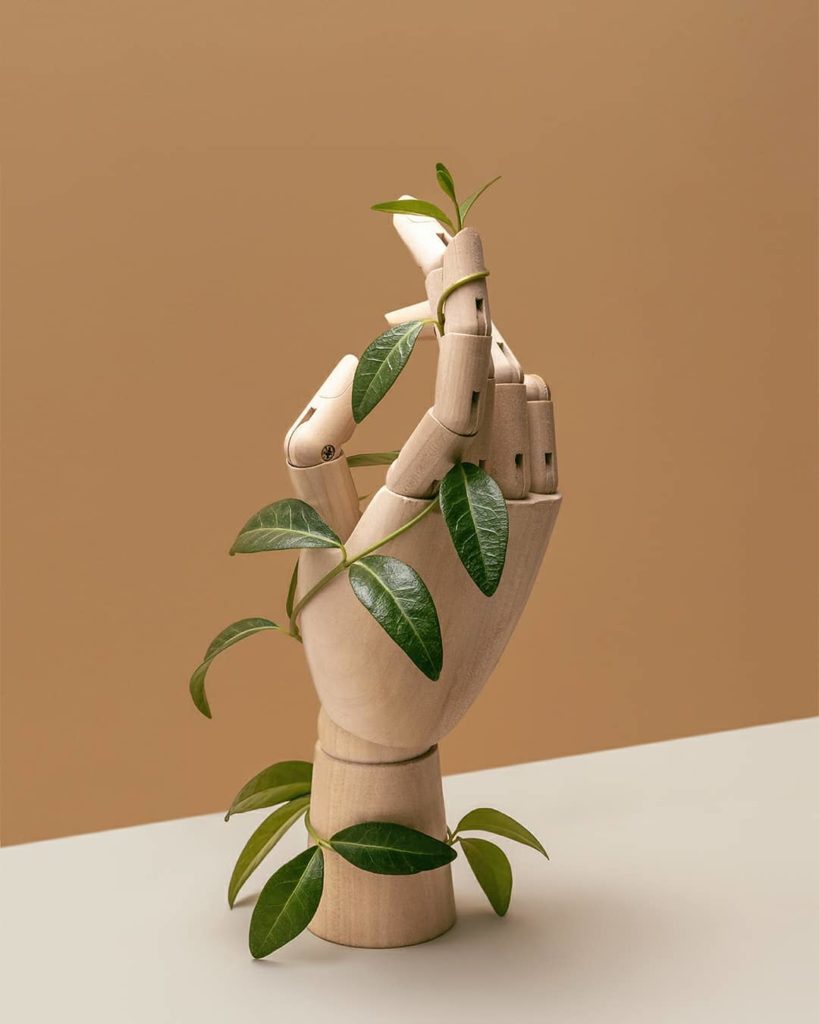 фотограф: Василиса Романова