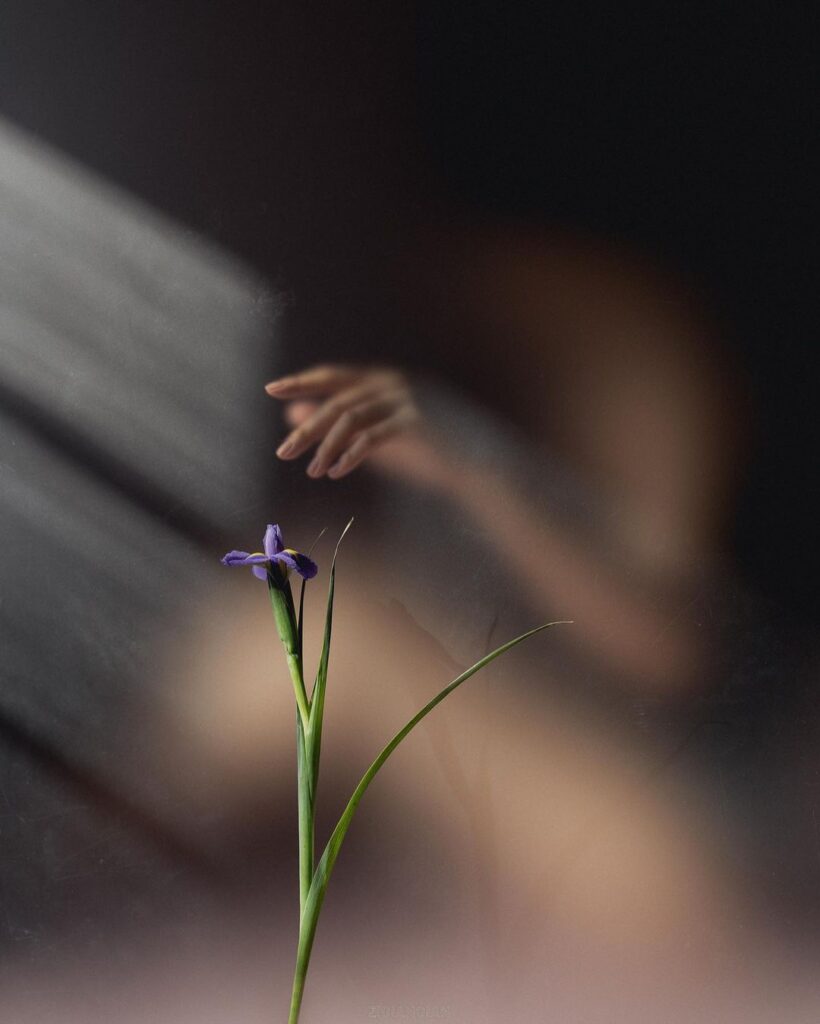 ph: ©_Ziqian_Liu Зйомка крізь матове скло. Фотошкола.