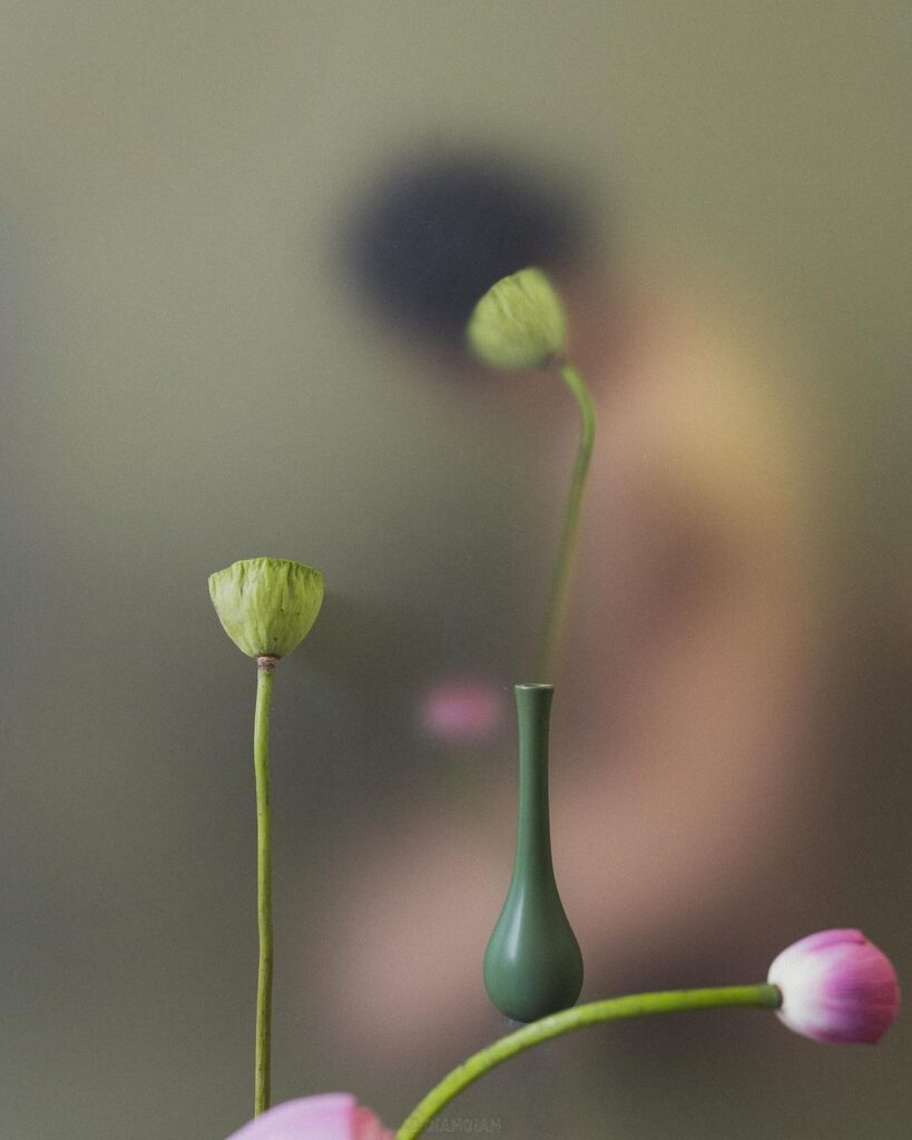 ©_Ziqian_Liu Фотозйомка - ідеї. Уроки фотографії